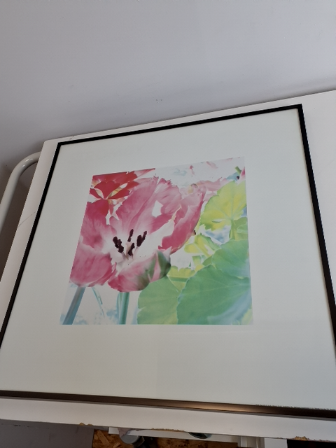 Plakat: pink blomst